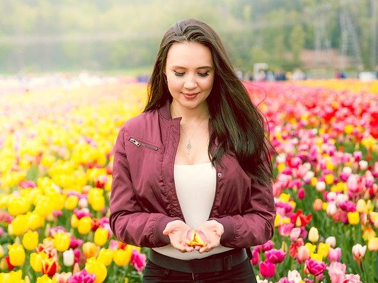 Abbotsford Tulip Festival Review: Is It Worth the Drive?